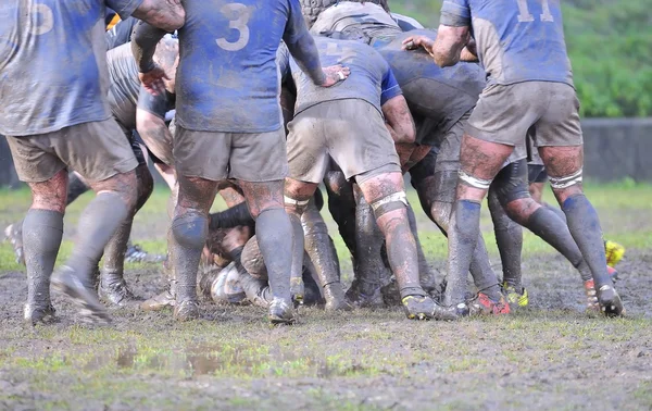 Rugby match.