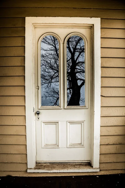 Old Door Reflects Creepy Tree
