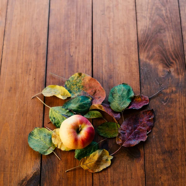 Apple with leafs.