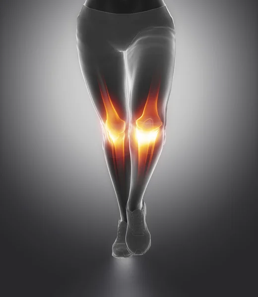 Knee and meniscus in sports injuries