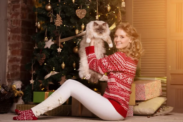 Christmas party, winter holidays woman with cat. New year girl.