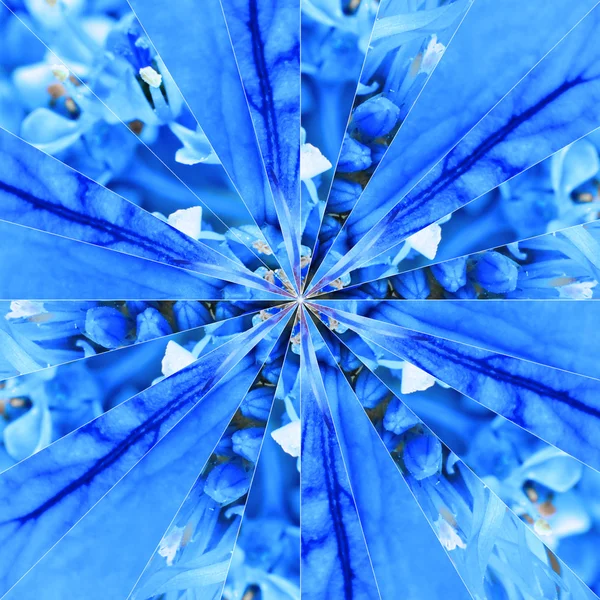 Blue Flower Center Collage Geometric Pattern