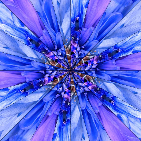 Blue Flower Center Collage Geometric Pattern