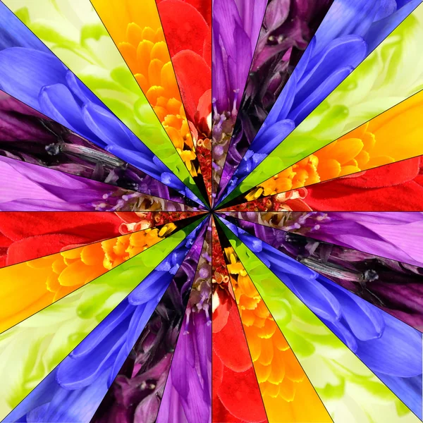 Rainbow Flower Center Collage Geometric Pattern