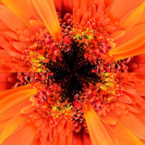 Orange Flower Center Collage Geometric Pattern