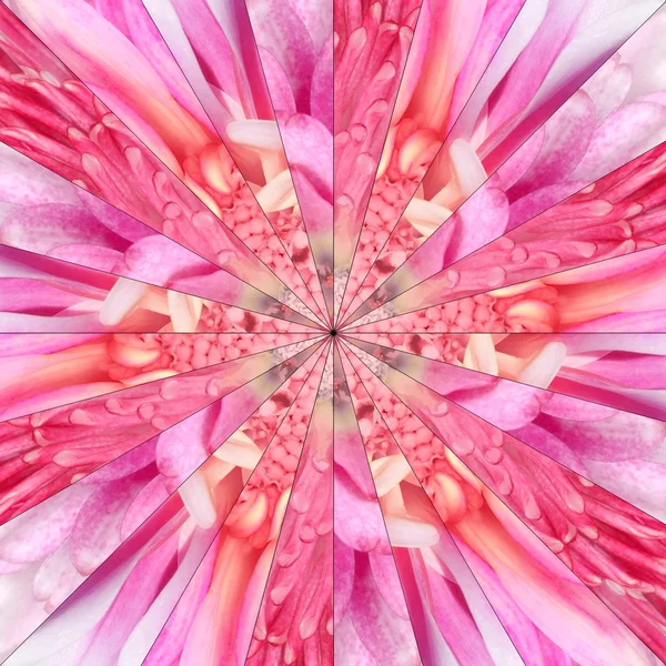Pink Flower Center Collage Geometric Pattern