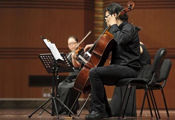 Violoncellist on chamber music concert