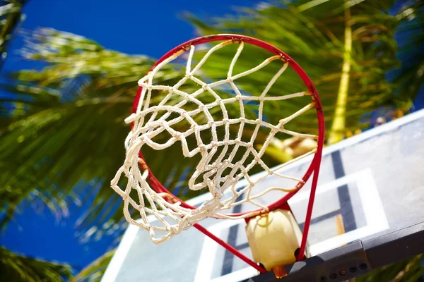 Basketball board ring on summer day on blue sky and green tree palm background