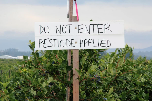 Crops Sprayed with Pesticide