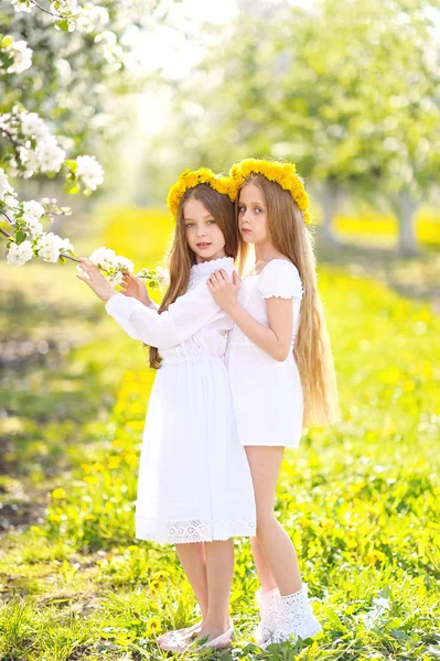 Portrait of two girls of girlfriends on a summer nature