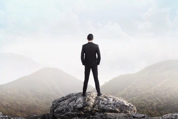 Business man standing on the top of the mountain