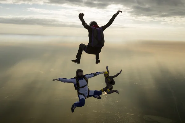 Group of skydivers in free fall.