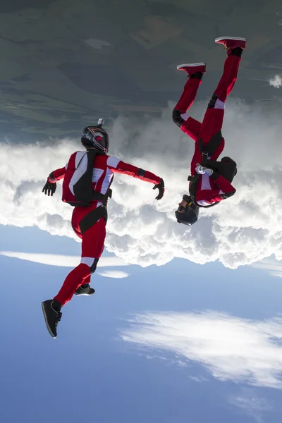 Parachutists  build a figure in free fall.