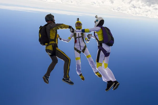 Skydivers collects figure in freefall.