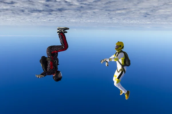 Girl and a guy skydivers perform pieces