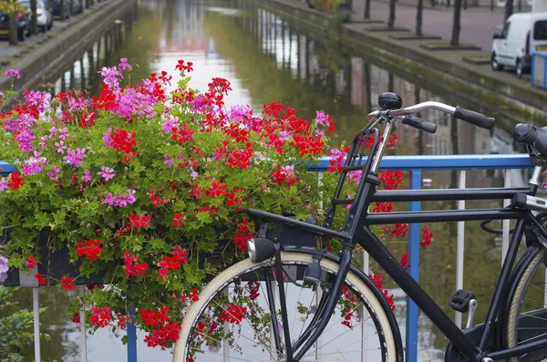 Bicycle on a bridge