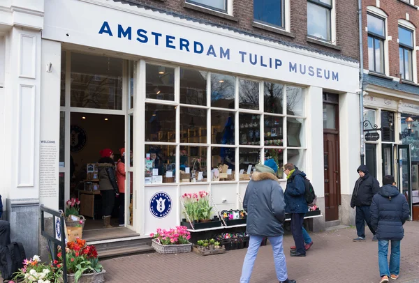 Amsterdam tulip museum