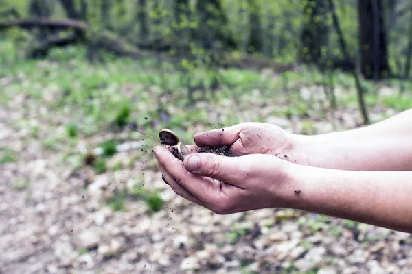 Soil with coins in a human hand