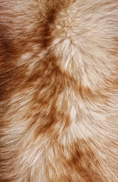 Fur texture cloth abstract