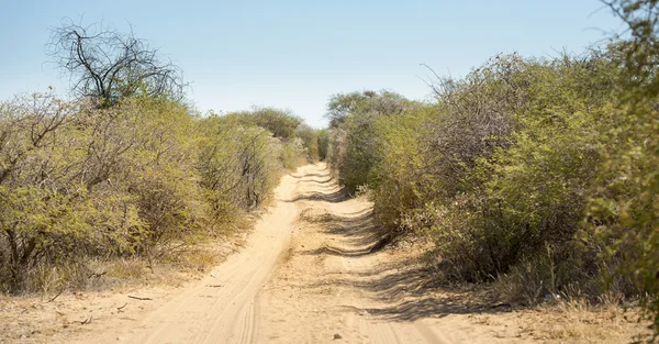 Dirt Road Botswana