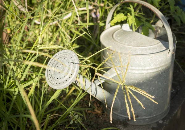 Watering Can