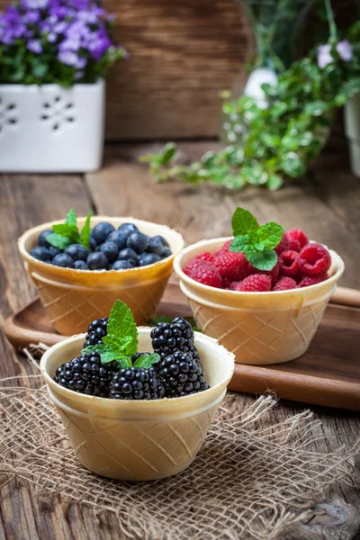 Blackberries, raspberries and blueberries in a waffle bowls.