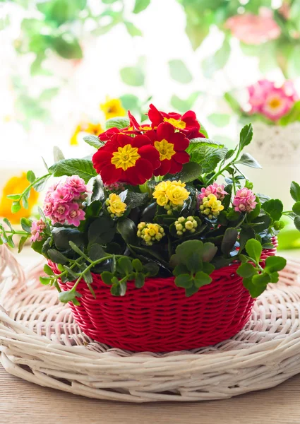 Spring flowers in basket