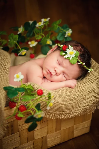 Newborn baby girl has sweet dreams in strawberries