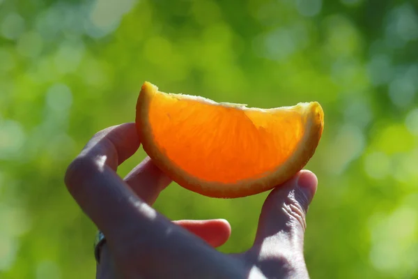 Orange segment in sunshine