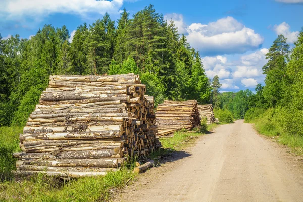 Piles of logs near forest road in summer