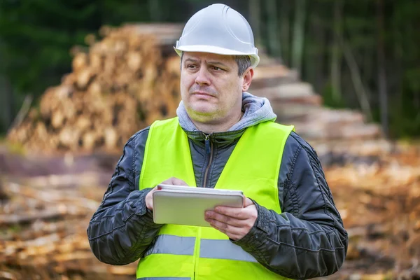 Forest engineer with tablet PC near piles of logs