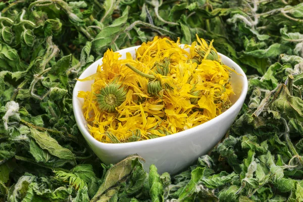 Dry calendula in bowl with green dry herbs around