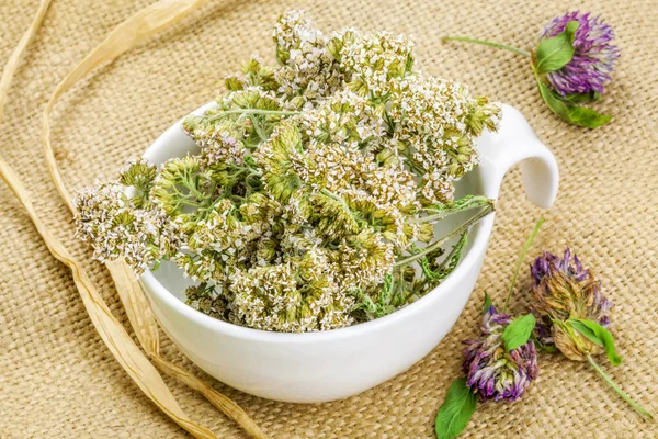 Yarrow in white bowl on rustic jute fabric