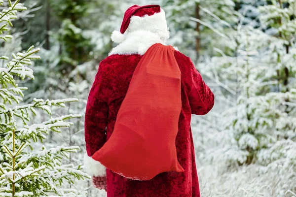 Santa Clause with gift bag in the forest