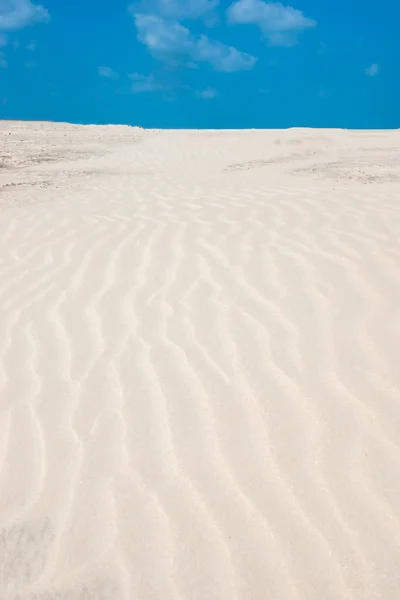 Lines in the sand of a beach. Out of focus image.