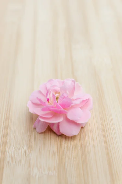 The pink fairy rose flower on the bamboo wood.