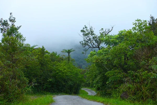 Nature walk in the rain forest and cloud cover.