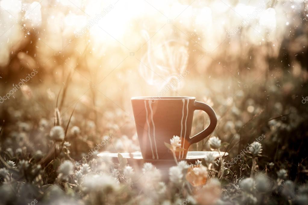 Morning coffee in the garden. — Stock Photo © Noppharat_th 59308259