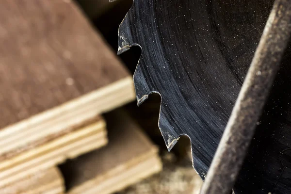 Circular saws in wood factory