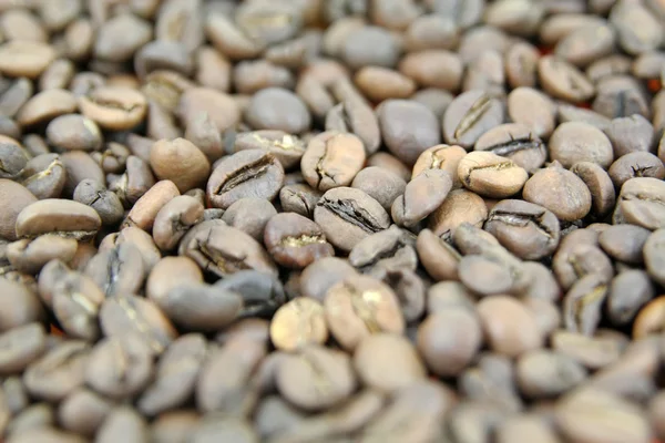 Roasted coffee beans. Coffee beans.