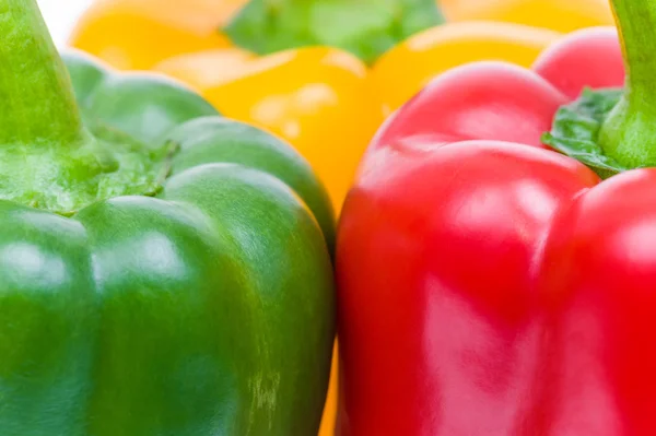 Colored paprika (pepper) isolated on a white background