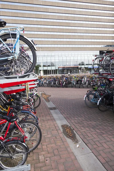 Many bicycles in front the hague central station