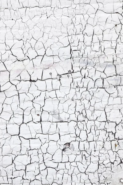 Abstract pattern of cracks in white washed wall