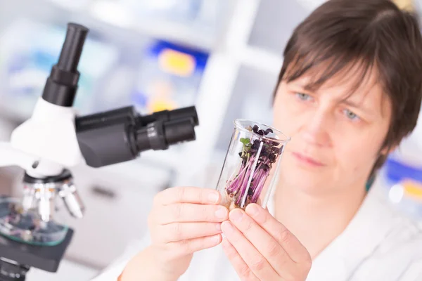 Woman studies plants in the laboratory