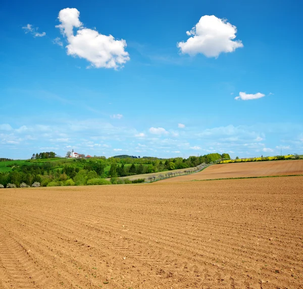 Plowed field in sunny day.