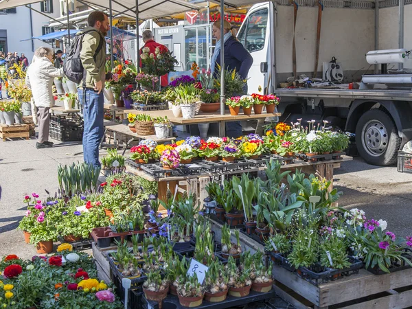 ZURICH, SWITZERLAND, on MARCH 26, 2016. Spring morning. Sale of flowers in the market