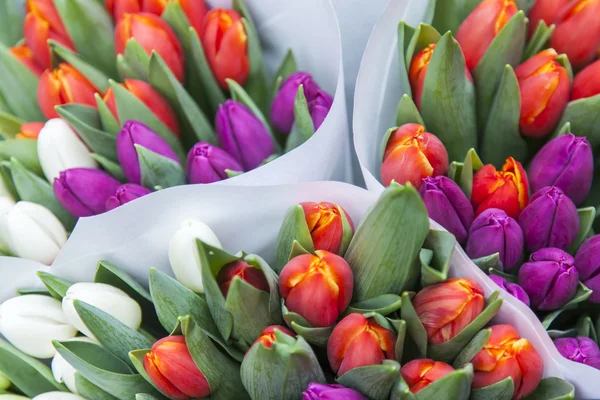 Sale of tulips of various grades in the Flower market. The flower market is one of sights of the city