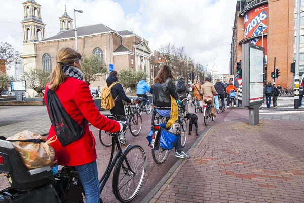 AMSTERDAM, NETHERLANDS on MARCH 30, 2016. Urban view. Cyclists have stopped on a traffic light signal