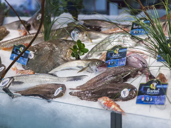 Picturesque counter of fish shop