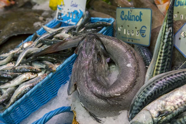 Paris, France. Fish and seafood on a counter of the street market